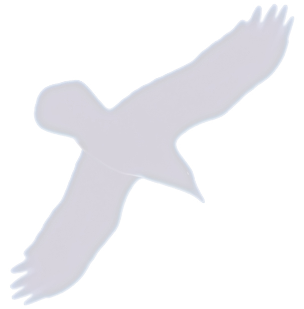 RavenVenture.Com